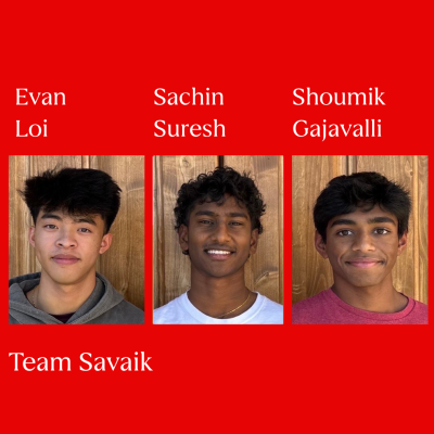 Team Savaik