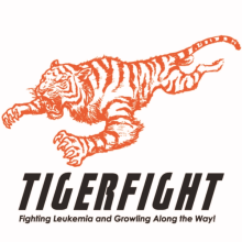 tigerfight